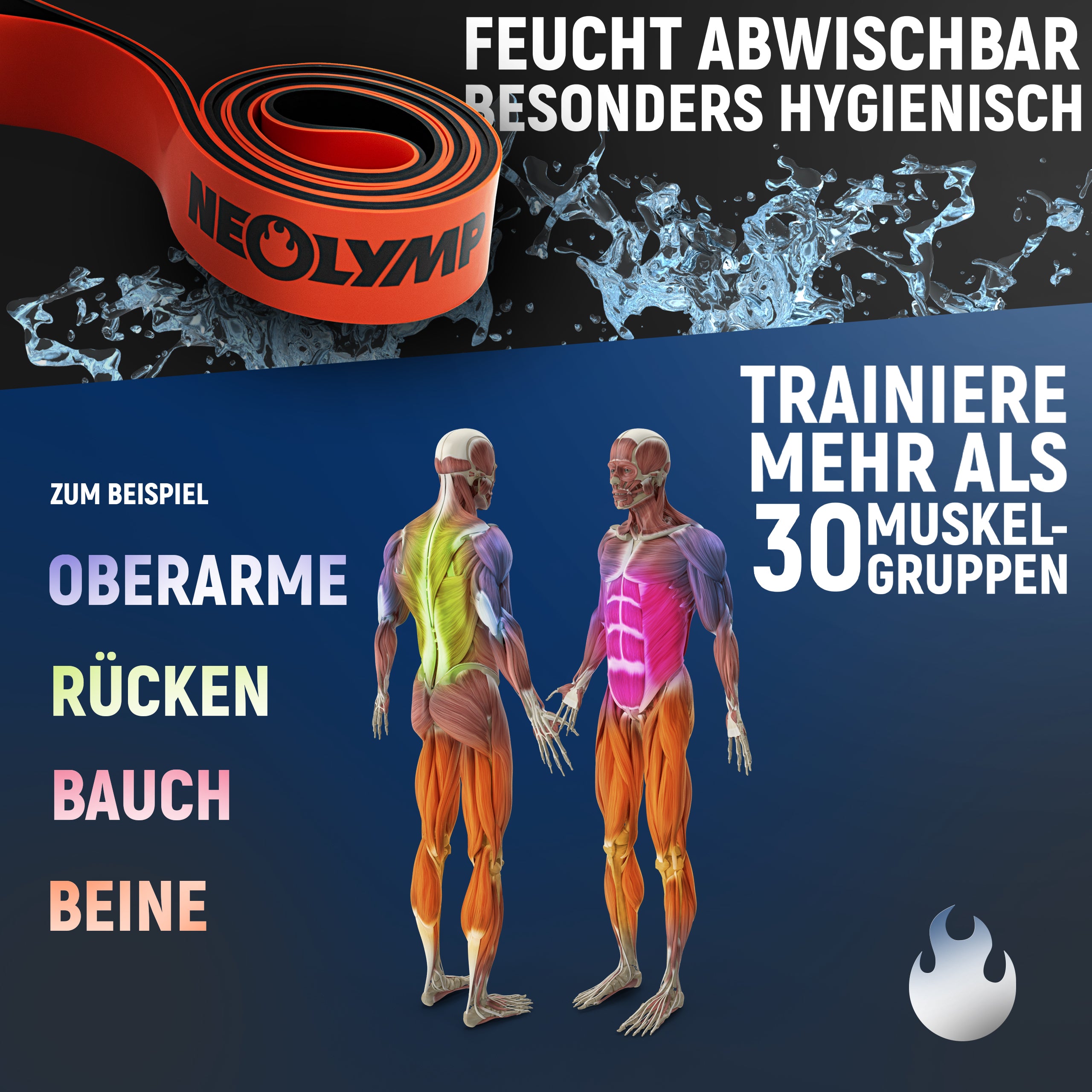 Neolymp Fitnessband mit dem Text: Feucht abwischbar, besonders hygienisch. Anatomische Darstellung von Muskelgruppen, die mit dem Band trainiert werden können: Oberarme, Rücken, Bauch, Beine. Zusätzlich: Trainiere mehr als 30 Muskelgruppen.